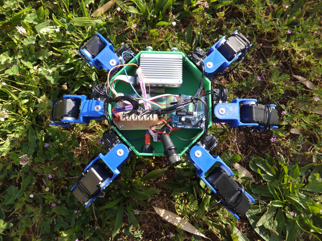 Hexapod robot top view